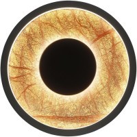 Настенный светильник Tallar 4445-1W