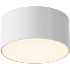 Потолочный светильник Outdoor O430CL-L15W3K Потолочный светильник Outdoor O430CL-L15W3K