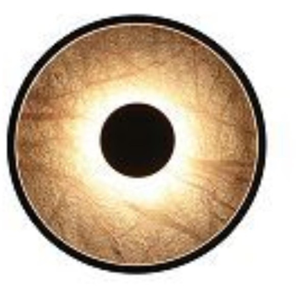 Настенный светильник Tallar 4445-2W