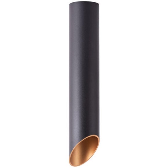 Точечный накладной светильник Arte Lamp PILON-GOLD A1536PL-1BK