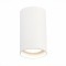 ST157.532.20 Светильник потолочный Белый LED 1*20W 3000K 1 600Lm Ra90 60° IP44 D95xH150 220-265V Накладные светильники