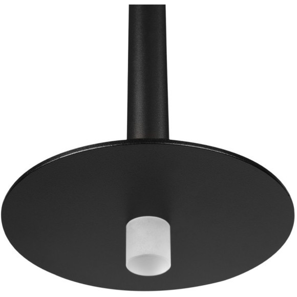 10358/830 Disk Подвесной светильник LOFT IT Reed