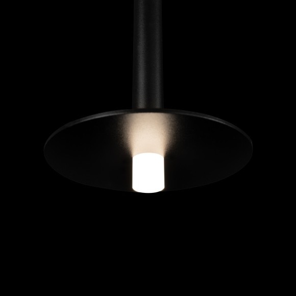 10358/830 Disk Подвесной светильник LOFT IT Reed