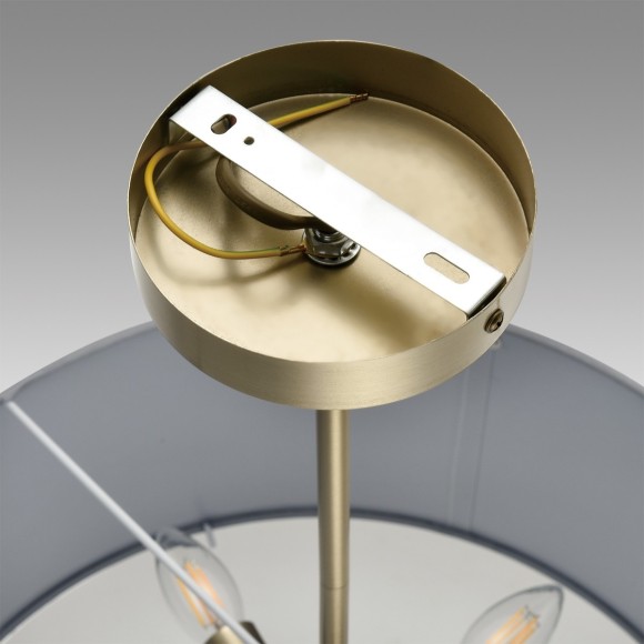 Люстра потолочная E14 Lumion DAMONA 8108/5C