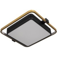 10171 Потолочный светильник LOFT IT Mike