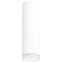 Накладной потолочный светильник Lightstar R649680 RULLO под лампу 1xGU10 50W