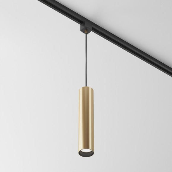 Однофазный двужильный трековый светильник Maytoni Unity TR025-1-GU10-MG Focus под сменную лампу GU10 Однофазный двужильный трековый светильник Maytoni Unity TR025-1-GU10-MG Focus под сменную лампу GU10