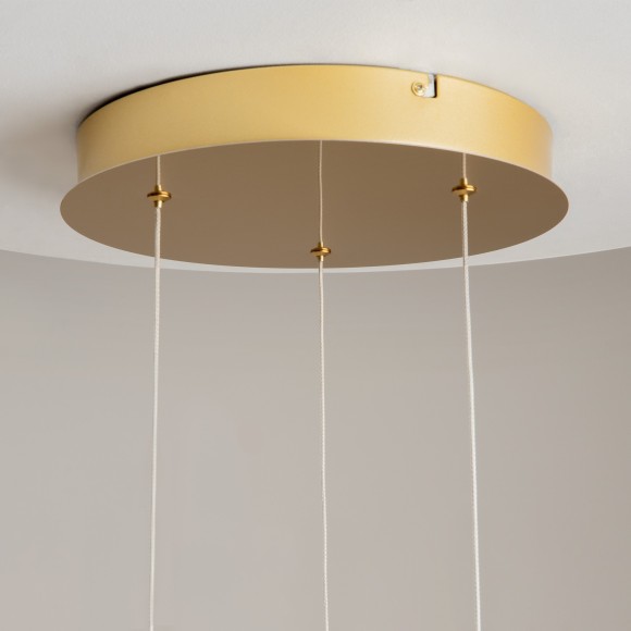 Подвесной светильник Maytoni Foresight MOD347PL-L24BS3K