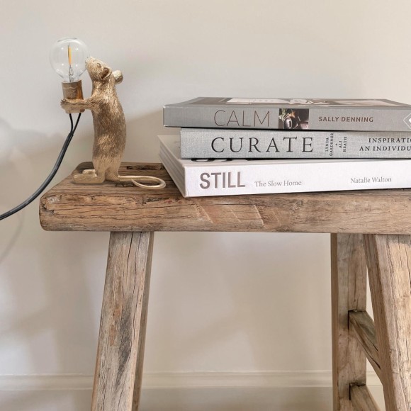 10313 White Настольная лампа LOFT IT Mouse