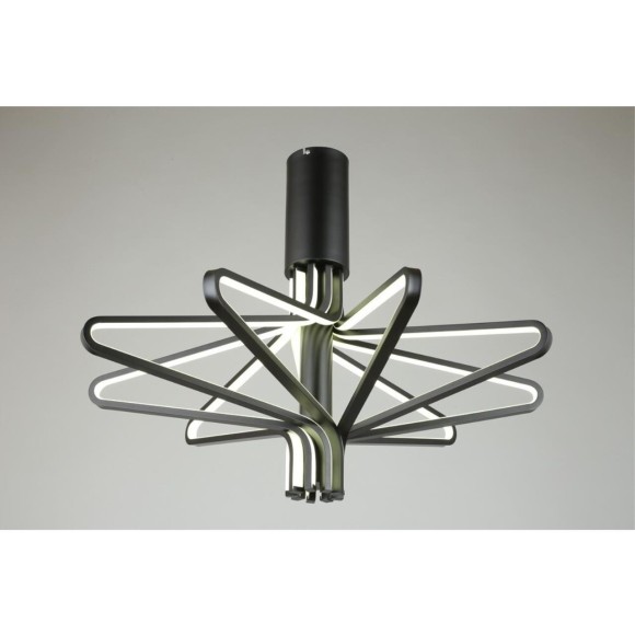 Люстра потолочная OML-18817-180