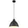 Подвесной светильник с 1 плафоном Arte Lamp A2055SP-1BK BRACCIO под лампу 1xE27 60W