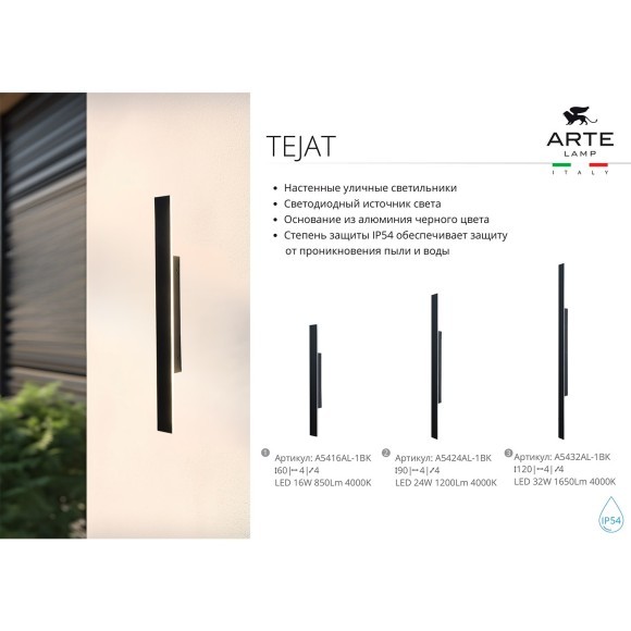 Фасадный светильник Arte Lamp TEJAT A5424AL-1BK Фасадный светильник Arte Lamp TEJAT A5424AL-1BK