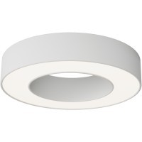 Потолочный светильники Maytoni Lua LED 4000К Ra90 Lm1670 24Вт 120° C093CL-24W4K-W