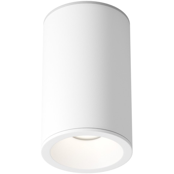 Потолочный светильник Technical C029CL-01-S-W