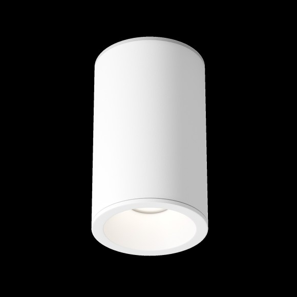 Потолочный светильник Technical C029CL-01-S-W