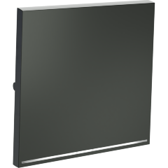 Клавиша для выключателя/переключателя одноклавишного с подсветкой, S70 (титан)