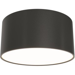 Потолочный светильник Technical C032CL-12W3K-RD-B