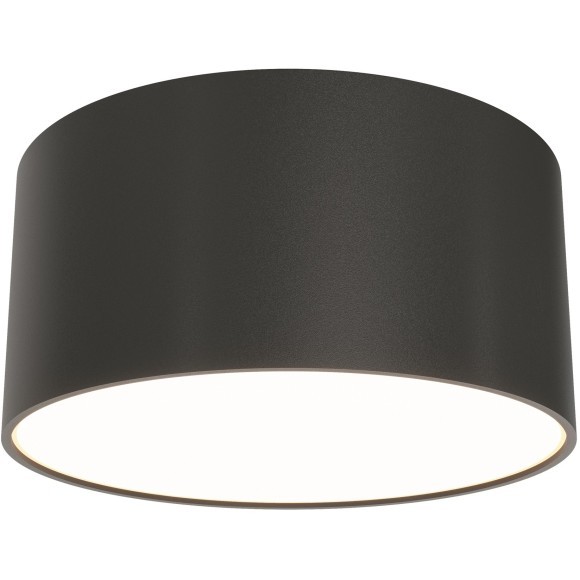 Потолочный светильник Technical C032CL-12W3K-RD-B