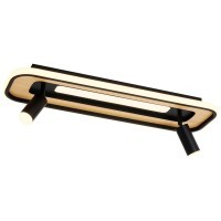 Спот Olika 4439-2C