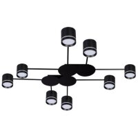 Потолочная люстра Arte Lamp LEGACY A8024PL-8BK