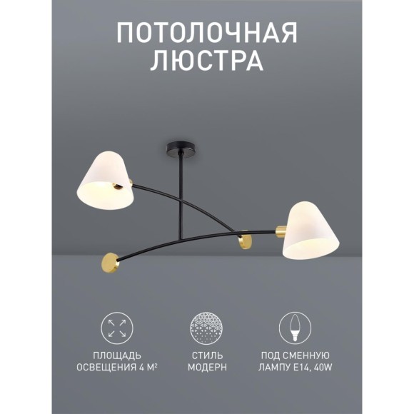 Потолочная люстра Statera 3045-2P