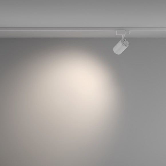 Трековый светильник трехфазный 220V светодиодный Vuoro TR029-3-10W4K-W-W