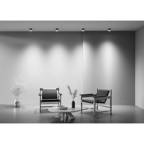 Потолочный светильник Technical C095CL-GX53-GR Потолочный светильник Technical C095CL-GX53-GR