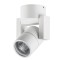 Накладной потолочный светильник Lightstar 51046 Illumo L1 IP65 под лампу 1xGU10 50W