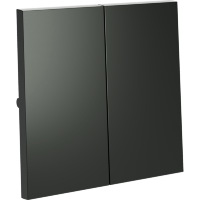 Клавиши для выключателя/переключателя двухклавишного, S70 (титан)