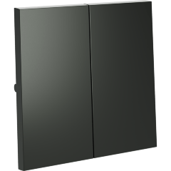 Клавиши для выключателя/переключателя двухклавишного, S70 (титан)