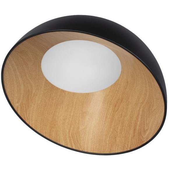 10197/500 Black Потолочный светильник LOFT IT Egg