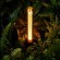 Voltega DIY.Bulbs VG10-TK30192E27warm2W-FD-A арт. 8560 Декоративная диммируемая LED-лампа цоколя E27, 2,5 Вт, 1800К, CRI 80, 70 лм, IP20, желтое стекло, габариты 30х192 мм Voltega DIY.Bulbs VG10-TK30192E27warm2W-FD-A арт. 8560 Декоративная диммируемая LED-лампа цоколя E27, 2,5 Вт, 1800К, CRI 80, 70 лм, IP20, желтое стекло, габариты 30х192 мм