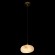10531B Подвесной светильник LOFT IT Fionora