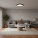 10454/400 Black  Потолочный светильник  LOFT IT Sweety