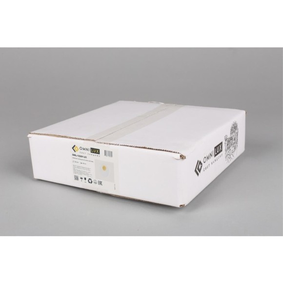 Светильник настенный (Бра) OML-12201-21