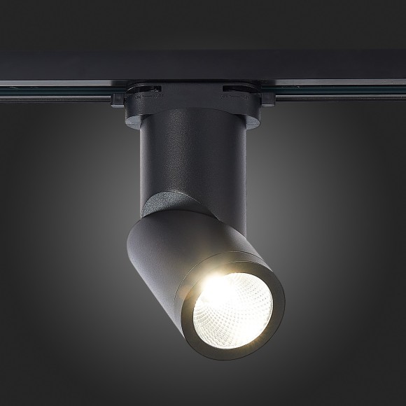 ST650.446.10 Однофазный двужильный светодиодный трековый светильник ST Luce 4000К 800Лм CRI90+ 38° 10Вт ST650.446.10 Однофазный двужильный светодиодный трековый светильник ST Luce 4000К 800Лм CRI90+ 38° 10Вт