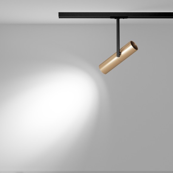 Однофазный двужильный трековый светильник Maytoni Unity TR005-1-GU10-BG Elti под сменную лампу GU10