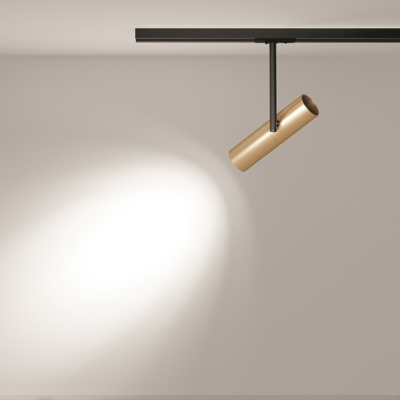 Однофазный двужильный трековый светильник Maytoni Unity TR005-1-GU10-BG Elti под сменную лампу GU10
