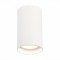 ST157.542.20 Светильник потолочный Белый LED 1*20W 4000K 1 600Lm Ra90 60° IP44 D95xH150 220-265V Накладные светильники