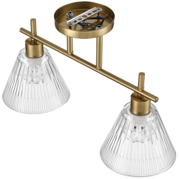 Потолочный светильник E14 Lumion VIVIAN 8188/2C