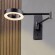 Прикроватный светодиодный светильник Lightstar Loft 765687 черный, поворотный, LED 5Вт 3000К CRI80 450Лм 120°, с выключателем
