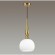 Подвесной светильник с 1 плафоном Odeon Light 4767/1 RUNGA под лампу 1xE27 60W