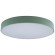 10002/24 Green Потолочный светильник LOFT IT Axel