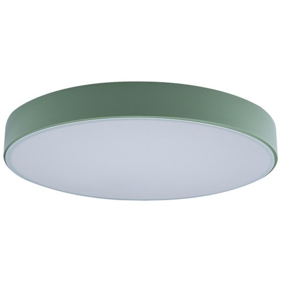 10002/24 Green Потолочный светильник LOFT IT Axel