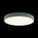 10002/24 Green Потолочный светильник LOFT IT Axel
