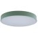 10002/24 Green Потолочный светильник LOFT IT Axel