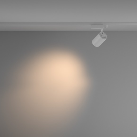 Трековый светильник трехфазный 220V светодиодный Vuoro TR029-3-20W3K-M-W