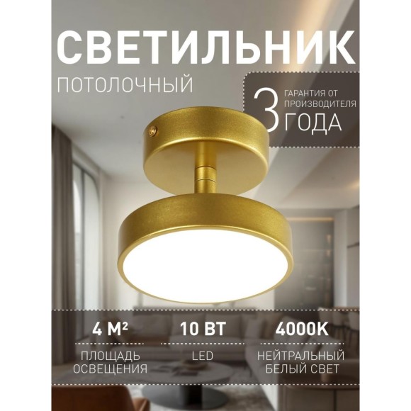 Потолочный светильник Atma 3059-1P
