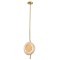  Подвесной светильник Arte Lamp ASTI A2441SP-1PB