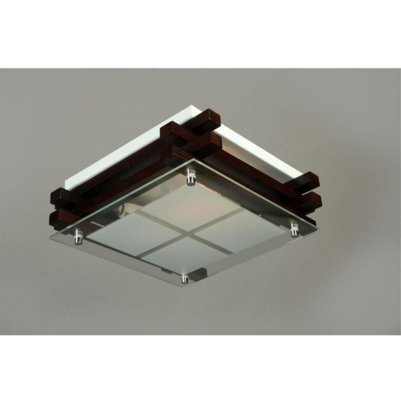 Потолочный светильник Carvalhos OML-40507-02